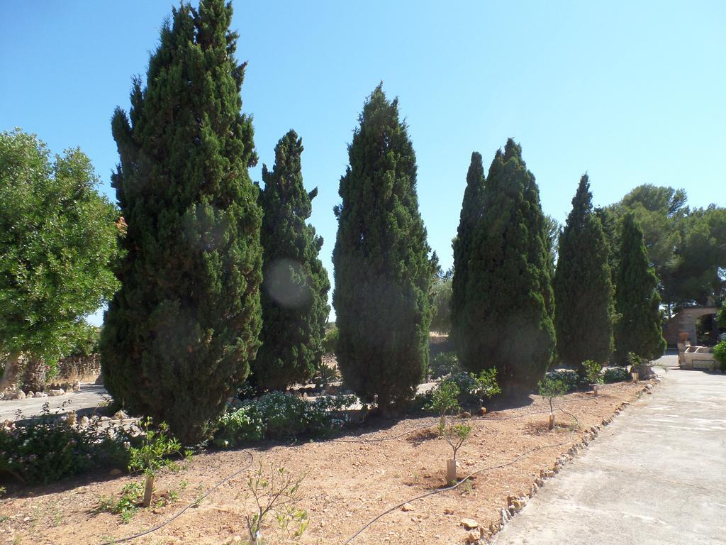 Sa Bassa Crua Agroturismo Sa Torre Εξωτερικό φωτογραφία