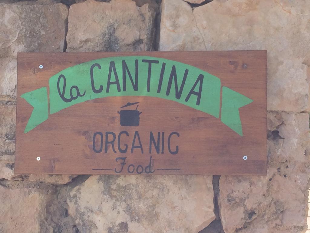 Sa Bassa Crua Agroturismo Sa Torre Εξωτερικό φωτογραφία